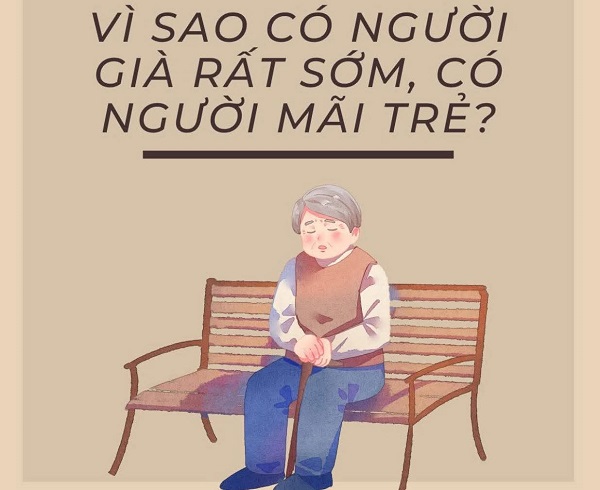 Hình1 : Vì sao có người già sớm, có người mãi trẻ – góc nhìn sinh học và lão hoá
